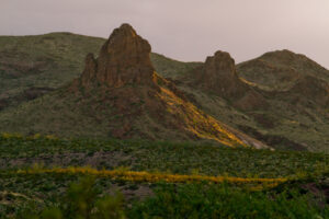 Mule Ears Feature Mule Ear Springs Trail