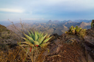 Untitled #7 (South Rim Trail: Southeast View Two)