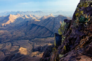 Untitled #8 (South Rim Trail: Southward View One)